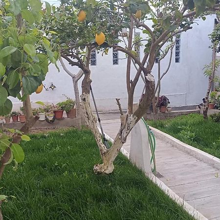 Suite de hóspedes adorável com pátio Almargem Exterior foto