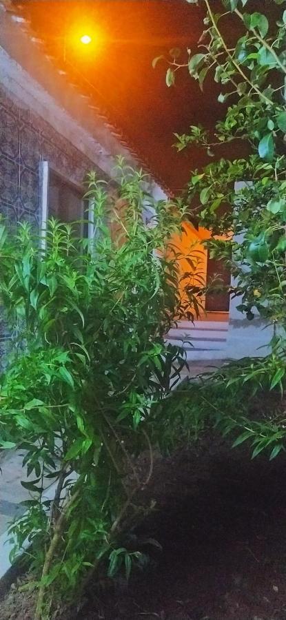 Suite de hóspedes adorável com pátio Almargem Exterior foto