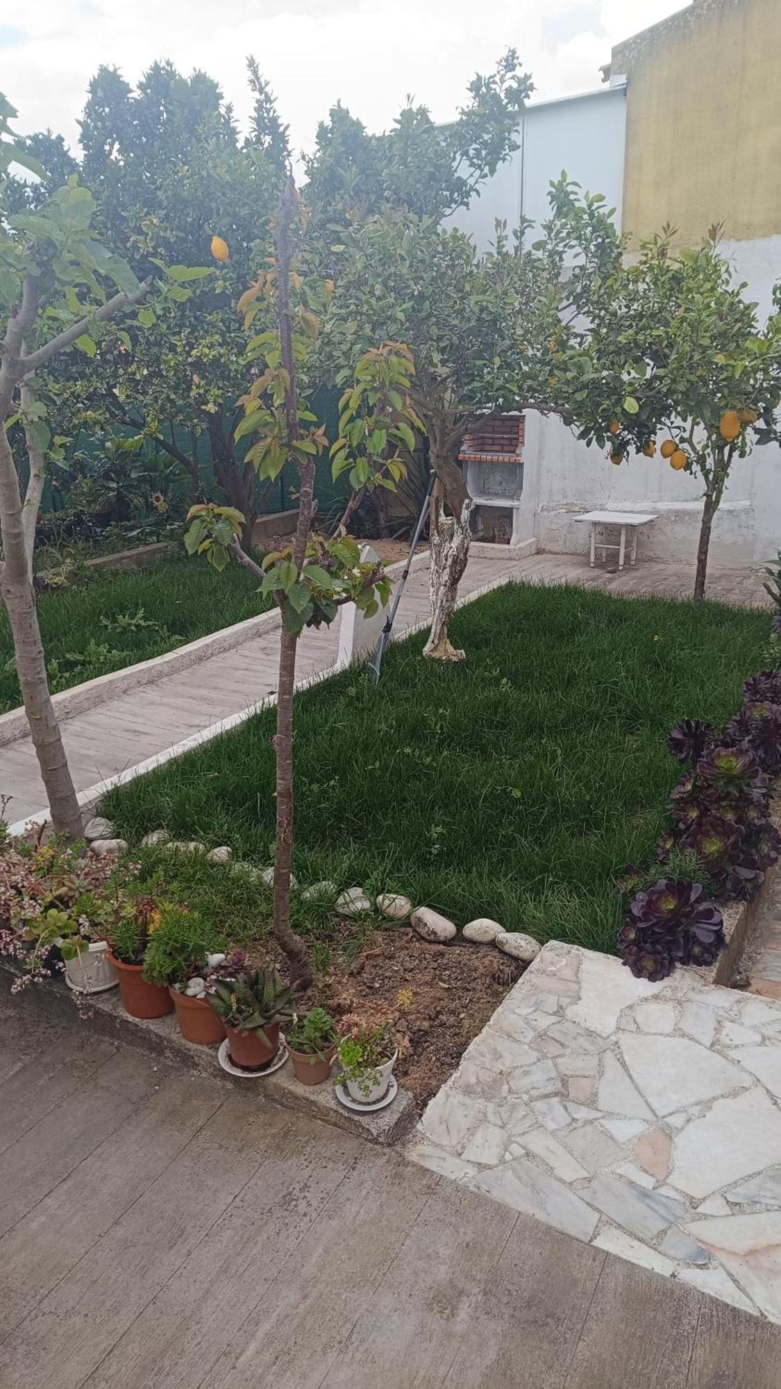 Suite de hóspedes adorável com pátio Almargem Exterior foto